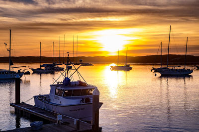 Sailboats moored in marina at sunset