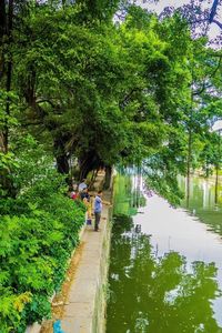 View of people walking on footpath