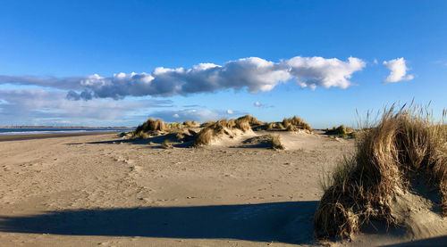Panoramic view of beach against sky