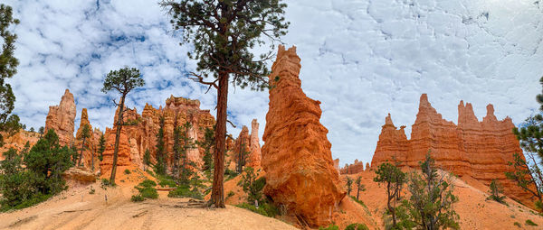 Plants growing on rock formation against sky