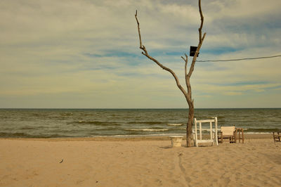 Scenic view of beach against sky