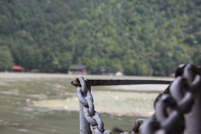 Close-up of chain on railing