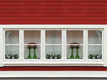 Potted plant on window of building
