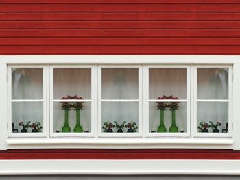 Potted plant on window of building