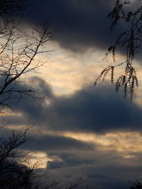 Low angle view of silhouette tree against sky during sunset