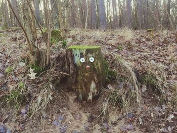 Cat on tree trunk in forest