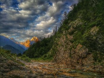 Trees on mountain against sky