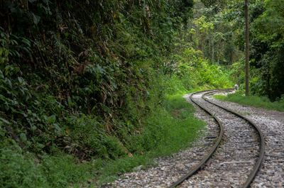 View of winding railroad track by trees