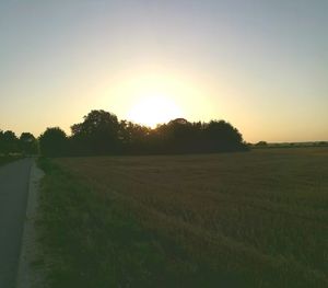 Scenic view of field against clear sky during sunset