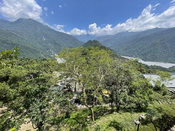 Enjoy the greenshower  of the cedar wood/forest.