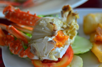 Close-up of fruit salad in plate