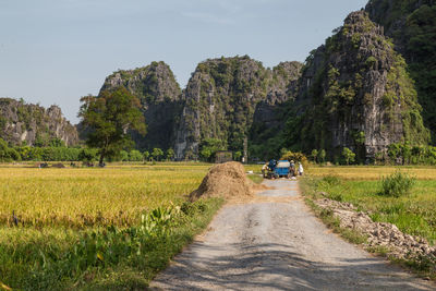 Road amidst plants and land against sky