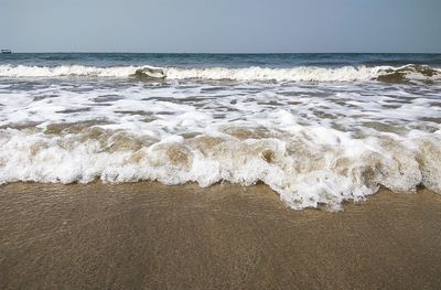 Scenic view of beach