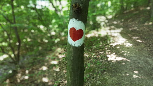 Close-up of heart painted on tree trunk