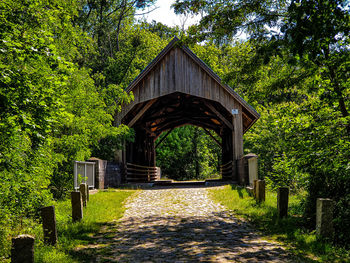 Walkway amidst trees in forest