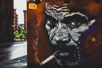 Close-up of tree trunk