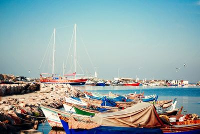 Sailboats moored in harbor 