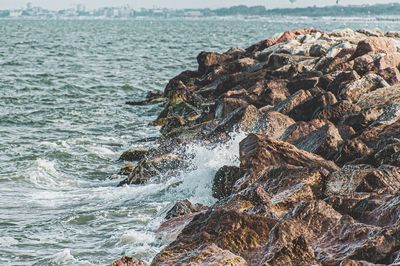 Aerial view of rocks on beach