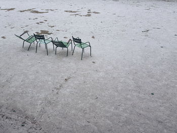 High angle view of insect on empty beach