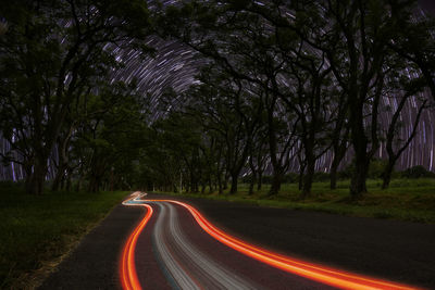 Light trails on road amidst trees at night