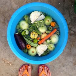 Close-up of food in bowl