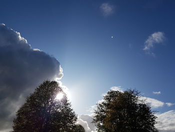 Low angle view of trees against cloudy sky