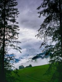 Trees on field against cloudy sky