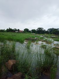 Scenic view of lake against sky
