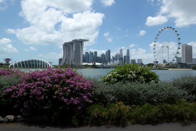 View of trees with buildings in background