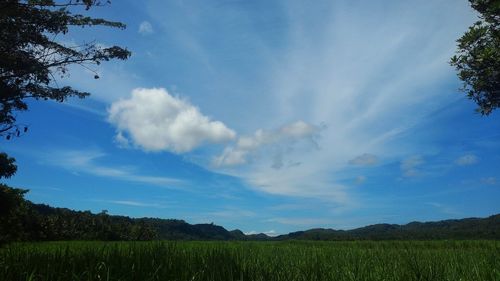 Scenic view of field against cloudy sky