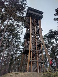 Low angle view of gazebo in forest against sky
