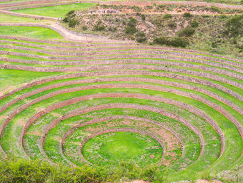 High angle view of agricultural field