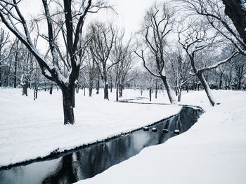 Stream amidst snow covered bare trees during snowfall