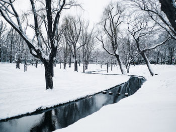 Scenic view of snow covered landscape