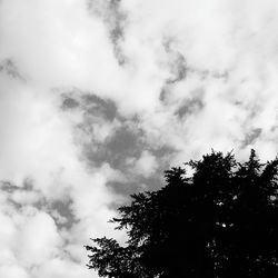 Low angle view of trees against cloudy sky