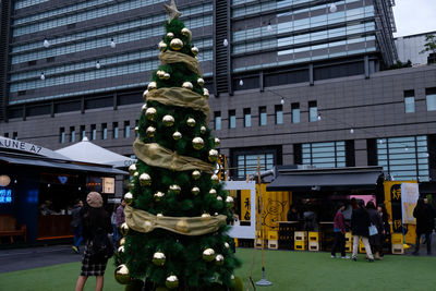 Christmas tree in city