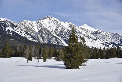 Scenic view of snow covered mountains
