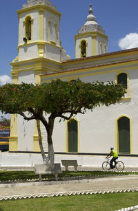 View of trees and building against sky