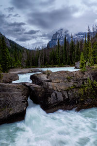 nature