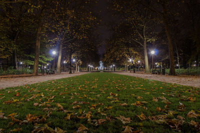 Illuminated street amidst trees in park during autumn