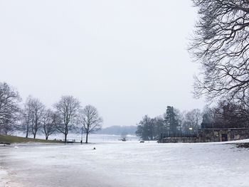 Trees on snow covered field against sky