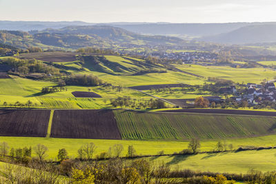 Scenic view of agricultural field against sky