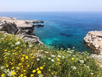 High angle view of plants by sea against sky