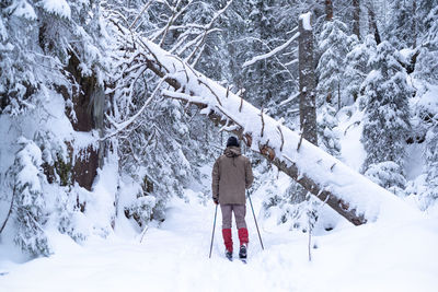 Man backcountry skiing in snow-covered forest