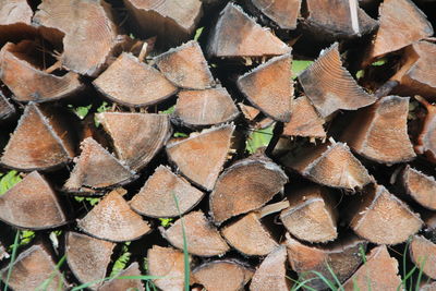 Full frame shot of logs in forest