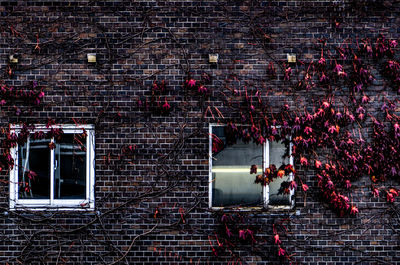 Red pipe against brick wall