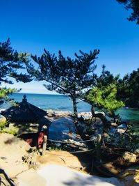 Scenic view of sea against clear blue sky
