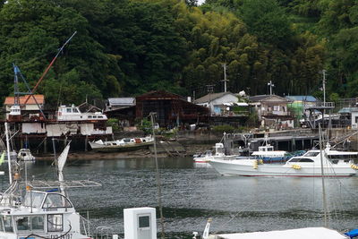 Boats moored at harbor by lake and trees