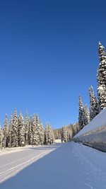 snow