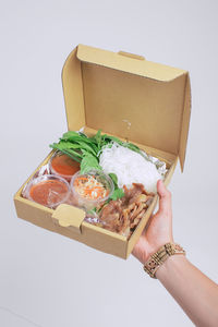 Close-up of hand holding food against white background